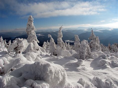 The Carpathian Mountains - Mountains & Waterfalls Photo (24136366) - Fanpop