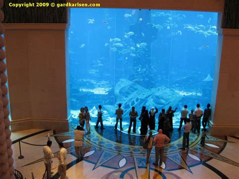 Aquarium at Atlantis Dubai Hotel