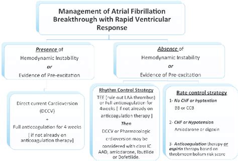 What Is the Best Beta Blocker for Afib - MagdalenakruwMccann