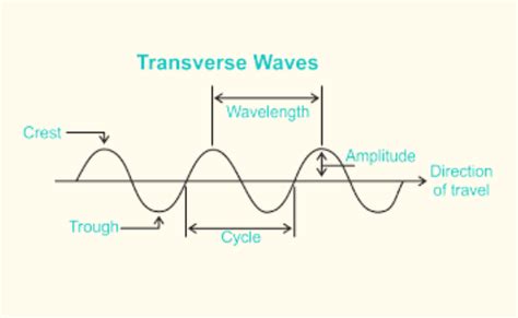 Transverse Waves-Examples, Diagram, And Properties