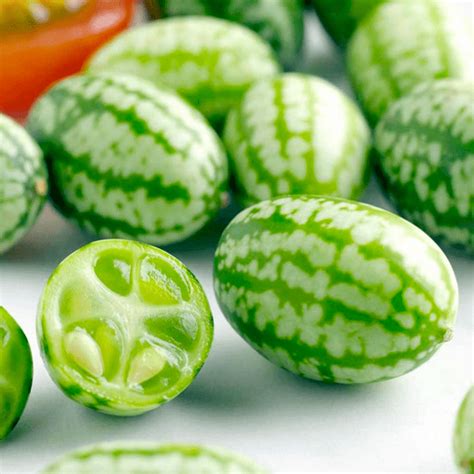 This Mini Watermelon Fruit Is Insanely Adorable