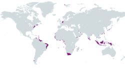 Dutch colonial empire — Wikipedia Republished // WIKI 2