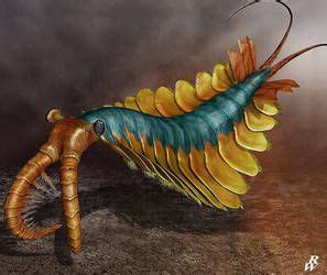 Anomalocaris by Dwarf4r | Prehistoric animals, Prehistoric creatures ...