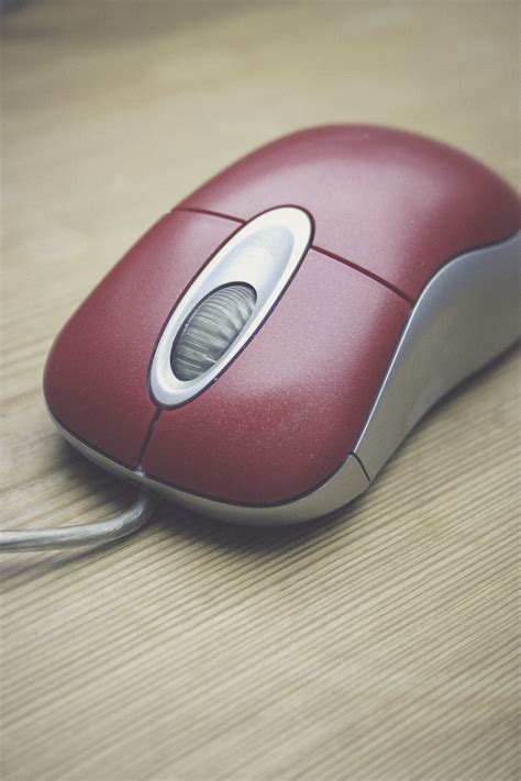 Free Images : information technology, computer mouse, electronic device ...