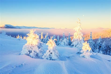 Winter Wonder Wallpapers - Wallpaper Cave