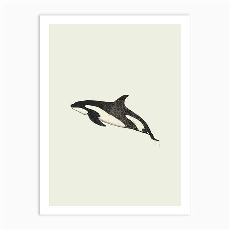 Minimalist Orca Whale Illustration 2 Art Print by Energy of the Sea - Fy