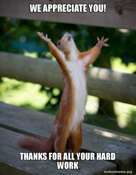 We appreciate you! Thanks for all your hard work - Happy Squirrel Meme ...