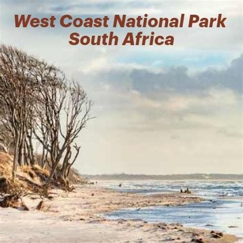 Visiting west coast national park south africa this guide has ...