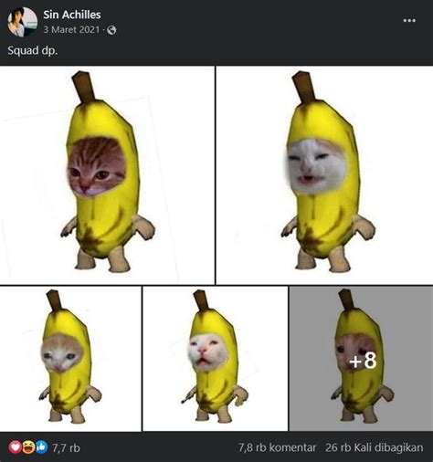 compilation of cats in banana suit | Sad Banana Cat | Know Your Meme