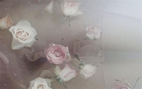 pale aesthetics | Floral, Pastel aesthetic, Pink