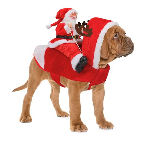 Large Dog Christmas Costumes | canoeracing.org.uk