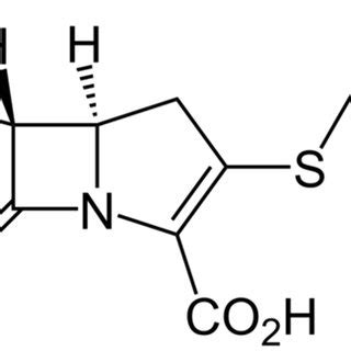 Chemical structure of thienamycin. Mechanism of action: In vitro ...