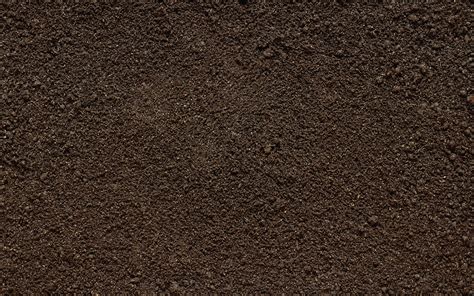 Seamless Soil Texture