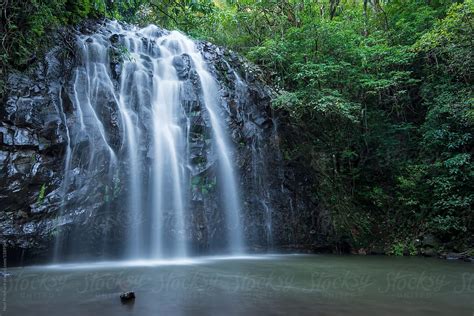 «Tropical Rainforest Waterfall» del colaborador de Stocksy «Neal ...