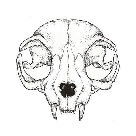 Animal Skull Drawing, Skulls Drawing, Animal Skulls, Cat Drawing ...