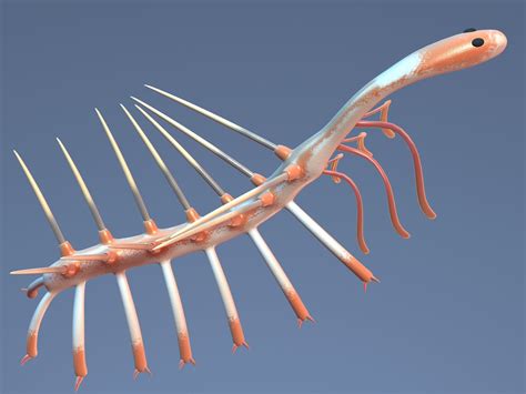 Hallucigenia 3D Model $49 - .max .obj - Free3D