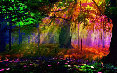 Download Colors Sunlight Fall Tree Earth Artistic Forest HD Wallpaper