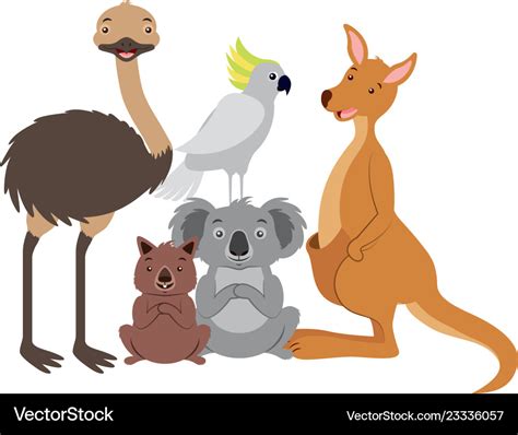 Kangaroo koala wombat cockatoo and emu Royalty Free Vector