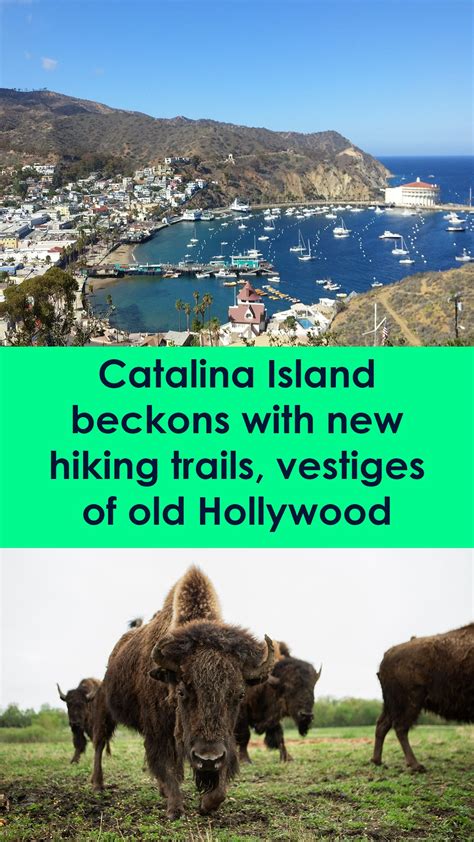 Catalina Island beckons with new hiking trails, vestiges of old ...