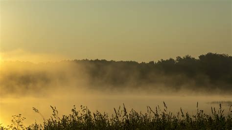 Timelapse landscape with morning fog in the forest lake 22400662 Stock ...