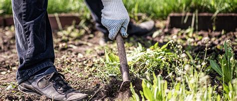 What Do Spring & Fall Yard Clean Up Include?