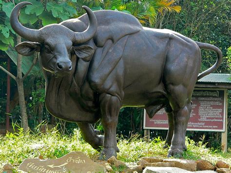 Gaur bronze statue - metal art decorate|bronze statue