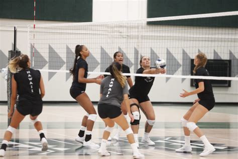 Hawaii women’s volleyball: Wahine receive votes in AVCA Top 25 – Hawaii ...