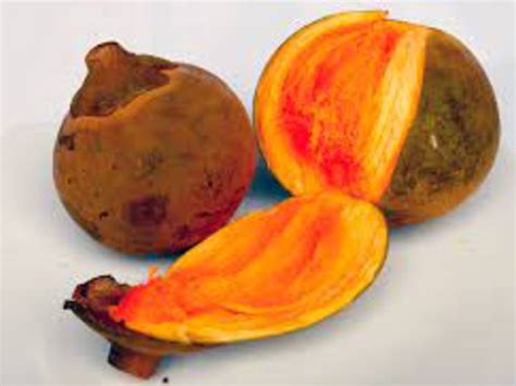 9 Different Types of Sapote Fruit with Images