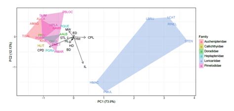 Principal component analysis ordination plot of the Siluriformes ...