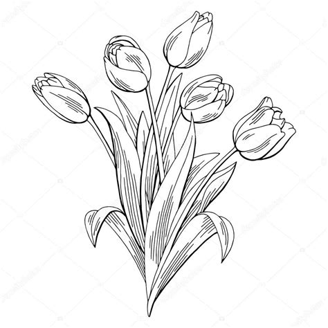 Flower graphic black and white | Tulip flower graphic black white ...