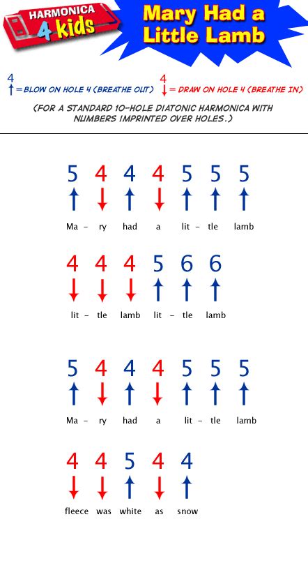 10 Easy Harmonica Songs For Beginners With Tabs (Children and Adults)