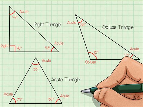 How to Classify Triangles: 9 Steps (with Pictures) - wikiHow