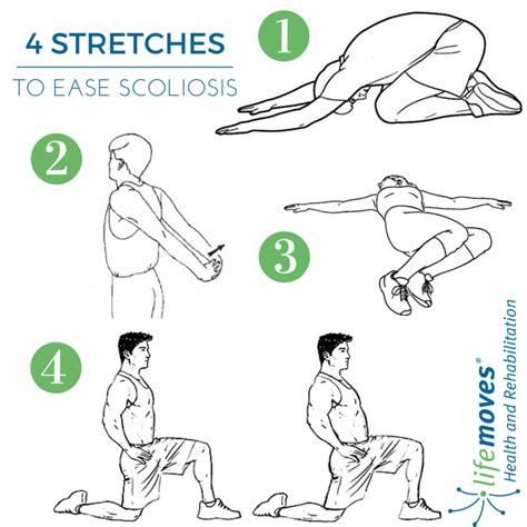 9 Stretches and Exercises for Scoliosis to Move with Ease | Lifemoves