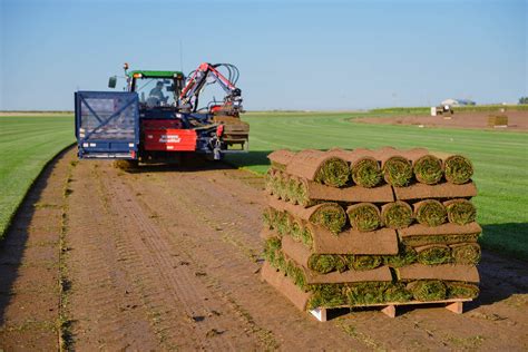 Our Sod Farm Near Denver for Over 50 Years - About Us | ScienTurfic Sod