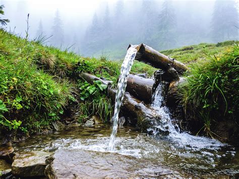 What To Do With A Natural Spring On Your Property – Mother Earth News