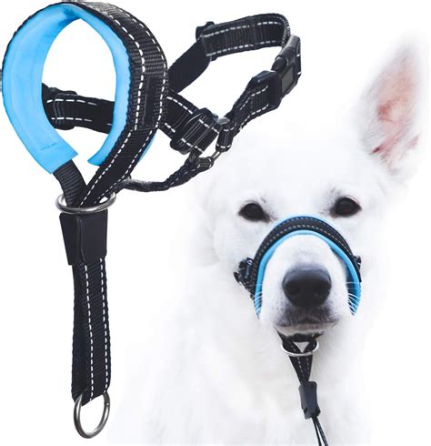 6 Different Types of Dog Collars Commonly Used For Training - German ...