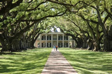 Antebellum History: The Story of Houmas House and Oak Alley Plantation ...