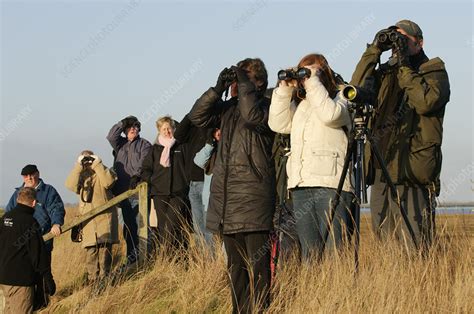 RSPB Wallasea Wild Coast Project - Stock Image - C041/4006 - Science ...