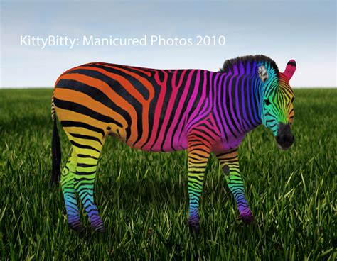 Rainbow Zebra 2/99 | 2 stock photos were used: one from drea… | Flickr