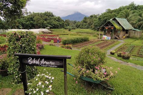 Want a farm tour? Calabarzon has more than 20 places to choose from ...