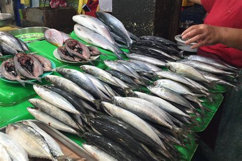 BFAR to import galunggong to address fish supply shortage | ABS-CBN News