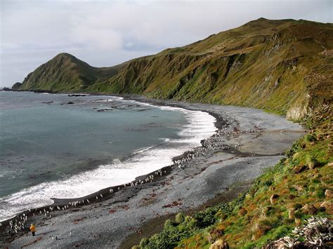 5-five-5: Macquarie Island (Australia)