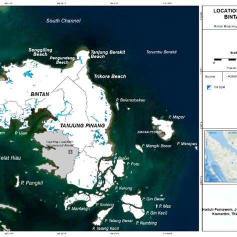 1. World map of the mangrove distribution zones and the number of ...