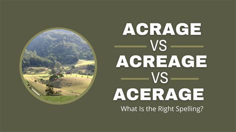 Acrage vs. Acreage vs. Acerage: What Is the Right Spelling ...