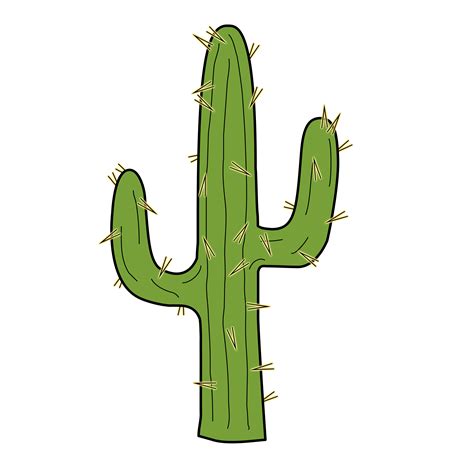 Cactus Clipart PNG HQ Transparent | Cactus drawing, Cactus clipart ...