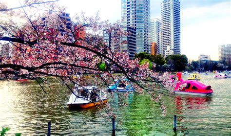 Ueno Park Boat Rides