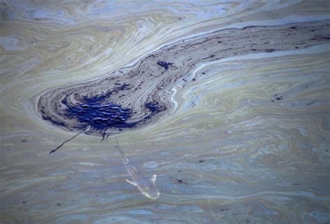 How to manage the damage from oil spills