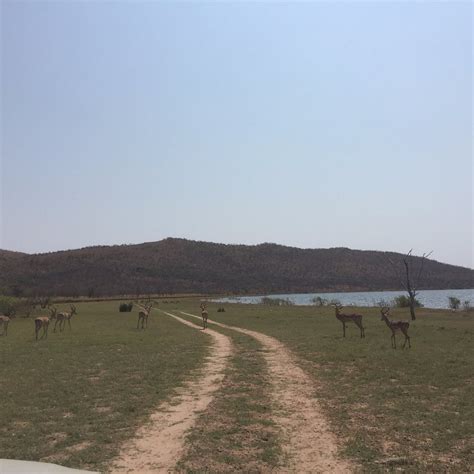 Loskop Dam Nature Reserve, Middelburg: лучшие советы перед посещением ...