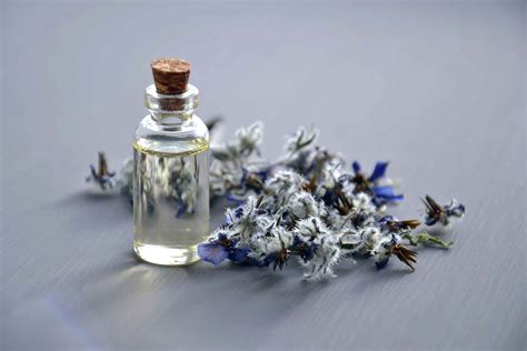 Essential Oils for Anxiety: Effectiveness, Safety and Best Oils ...