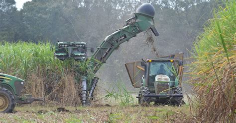 2016 sugarcane harvest sets sugar record